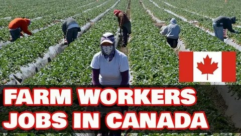 Canada Farm Worker Jobs